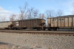 NS 10126